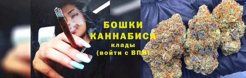 Каннабис Amnesia  Камышин 